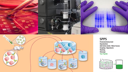 西寶生物科技 推動(dòng)生物科技技術(shù)的創(chuàng)新與發(fā)展